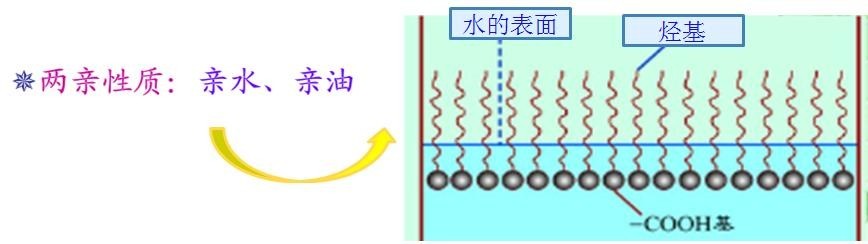 <a href='http://ailegame.cn/product/product-0001,0011,0018.shtml' class='keys' title='點(diǎn)擊查看關(guān)于潤(rùn)濕劑的相關(guān)信息' target='_blank'>潤(rùn)濕劑</a>
